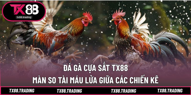 Đá Gà Cựa Sắt