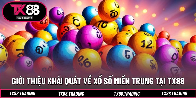 Hệ thống xổ số phân vùng tối ưu, dễ theo dõi từng đài