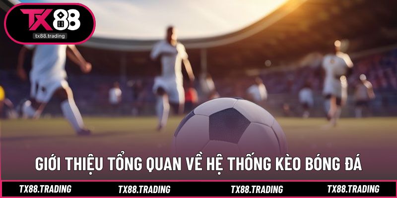 Khái quát cơ chế vận hành hệ thống kèo hiện đại