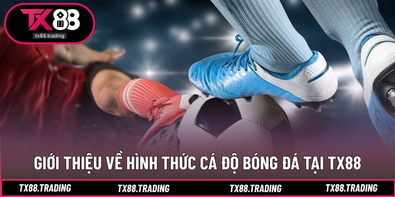 Nguyên tắc cần ghi nhớ khi tham gia dự đoán thể thao